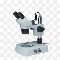 立体显微镜20x10x双目