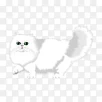 家养短毛猫剪贴画-波斯猫