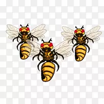 蜜蜂黄蜂剪贴画