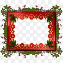 相框圣诞花卉设计摄影图案