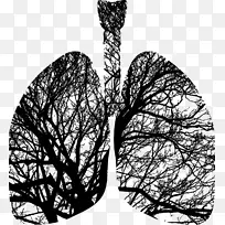肺呼吸呼出呼吸系统呼吸