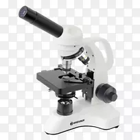 光学显微镜物镜放大光学显微镜
