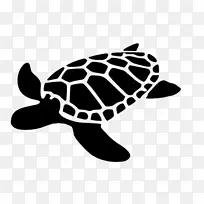 海龟纹章