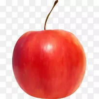 李子番茄还生活苹果配件水果剪贴画-苹果