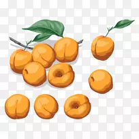 杏油桃素菜-杏
