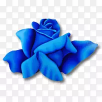蓝色玫瑰花园玫瑰画罗莎‘壮丽’-玫瑰
