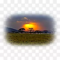 草原非洲桌面壁纸草原日落-非洲