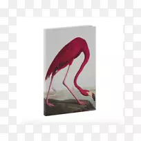墙纸水彩画墙纸