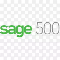 SAGE 300企业资源规划SAGE组系统集成