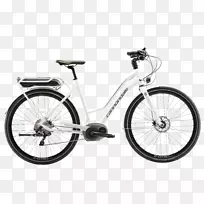 坎农代尔自行车公司生命周期自行车电动自行车-自行车