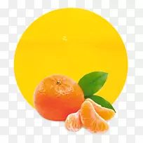 学习水果橘子汁教育-果汁