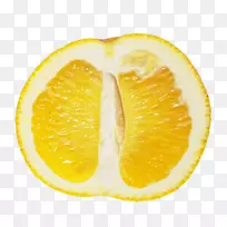 柠檬探戈兰普尔葡萄柚柑橘朱诺-柠檬