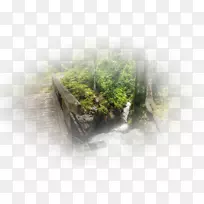 水资源桌面壁纸电脑树壁纸电脑