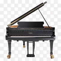 Fazioli大钢琴乐器音乐会-钢琴