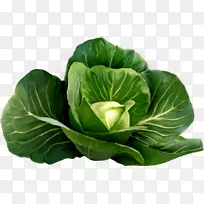 花椰菜十字花科蔬菜大白菜营养花椰菜