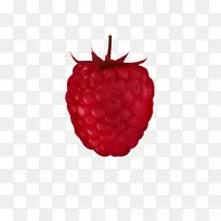 红树莓副果