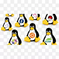 linux发行操作系统开源软件计算机软件linux