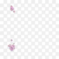 桌面壁纸紫晶体珠宝花瓣