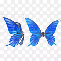 蝴蝶标准试验图像剪辑艺术-蝴蝶
