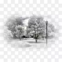 冬季景观暴雪自然-冬季