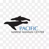 太平洋海洋中心，海狮
