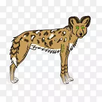 非洲野狗猎豹猎犬猎豹