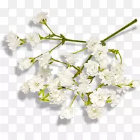 切花艺术剪裁艺术作品150分钟v.unc.nr广告剪辑艺术