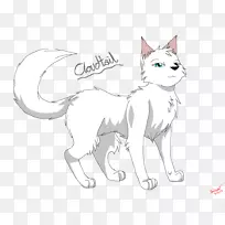 猫须武士云尾亮猫