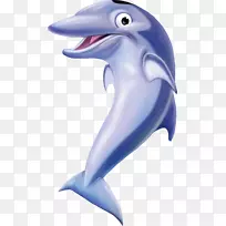普通宽吻海豚全鳍图库溪鲨钴蓝鲨