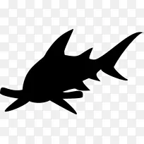 锤头鱼翅汤夹艺术-鲨鱼
