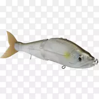 乳鱼鱼饵和诱饵鱼产品-鱼
