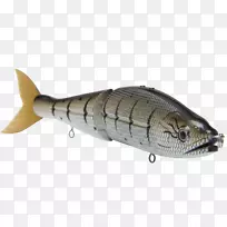 鲭鱼宝宝鲈鱼油性鱼饵和诱饵毒液