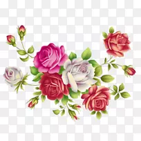 花园玫瑰，花卉设计，蜈蚣玫瑰，纸花
