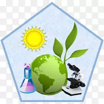 地球日树木可持续性自然环境-地球