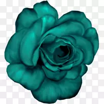 花园玫瑰花蓝色剪贴画-花