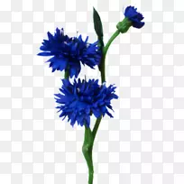 植物茎蓝切花人造花