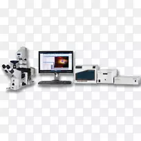分析显微镜系统微流控细胞