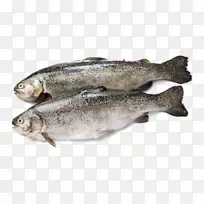 鱼产品彩虹鳟鱼沙丁鱼