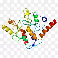 肿瘤基因组图谱bmi 1多梳组蛋白无名指结构域