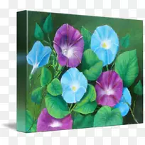 紫花莲，牵牛花，年产植物，现代艺术