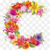 花卉设计字母c摄影