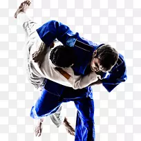 巴西Ju-Jitsu混合武术柔术-泰国混合武术