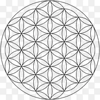 重叠圆网格神圣几何学Metatron形状