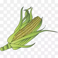 玉米上的玉米甜玉米有机食品