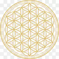 重叠圆圈，网格，神圣几何学，花-花