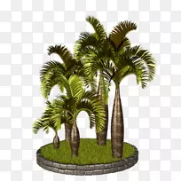 亚洲棕榈、槟榔科、风景画、剪贴画树