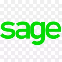 客户关系管理企业资源规划计算机软件业务SAGE 300-业务