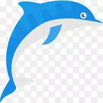 普通宽吻海豚图库溪电脑图标剪贴画海豚