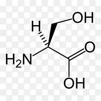 丝氨酸蛋白酶原性氨基酸酪氨酸