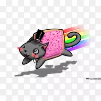 Nyan猫Youtube Pusheen桌面壁纸-CAT